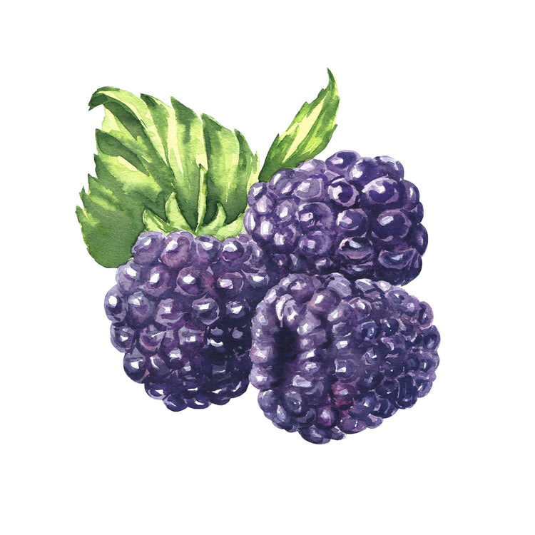 Blackberries