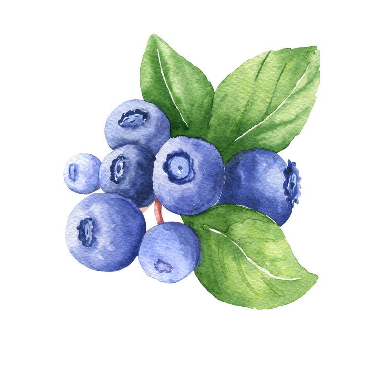 Blueberry